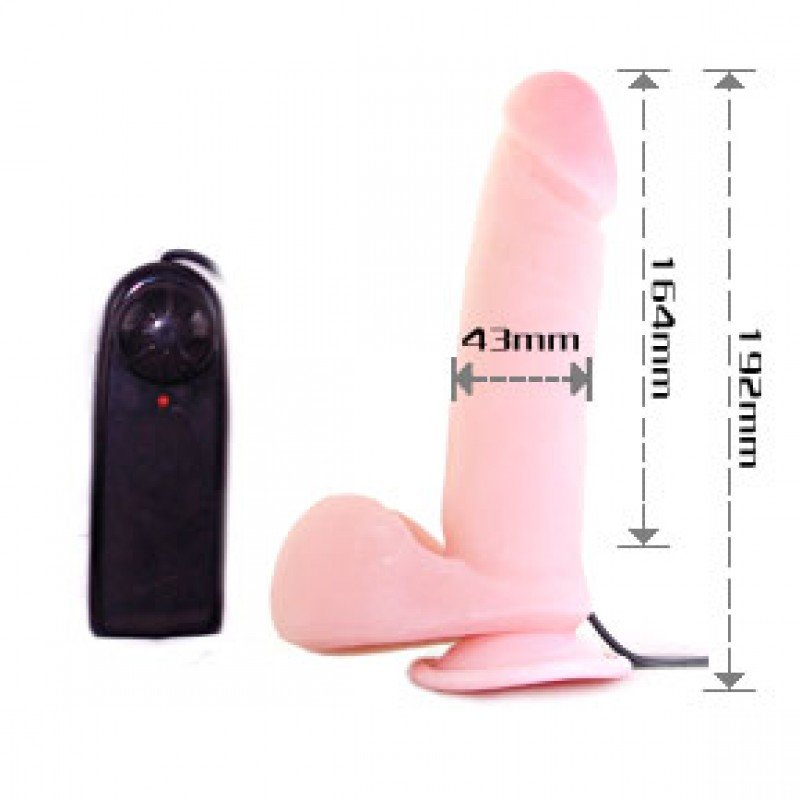 DONG VIBRO - Image 3